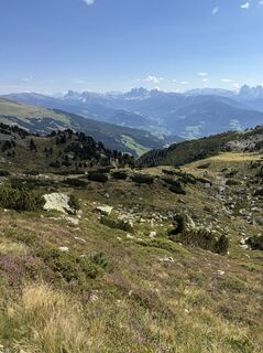 Photo de Thomas Löffler le long du parcours