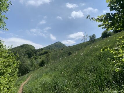 Foto de Toni Lerda a lo largo del recorrido