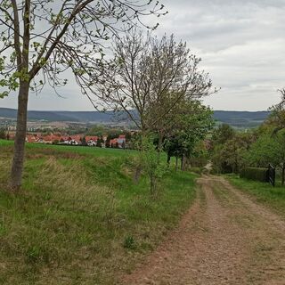Weg nach Bodelwitz