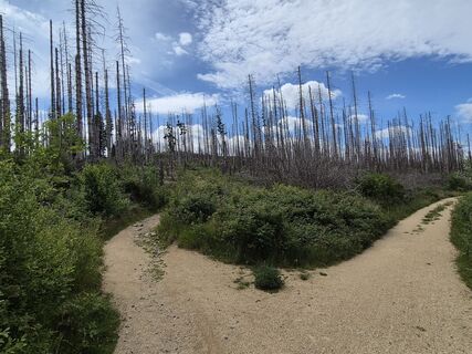 Photo de Silkrie ?✌️ le long du parcours