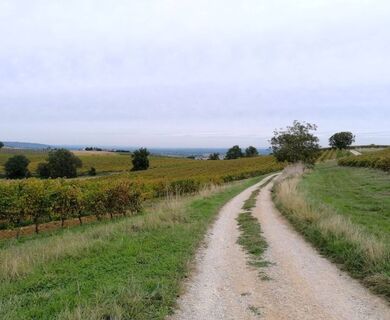 Zemljevid