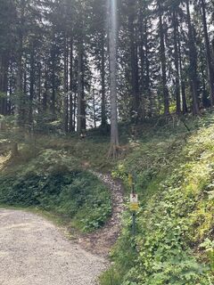 Photo de Heinz Sperl le long du parcours