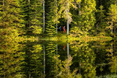 Der Kaltenbachsee ist ein Paradies für Wanderer