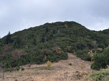 Photo de Markus Raab 2 le long du parcours