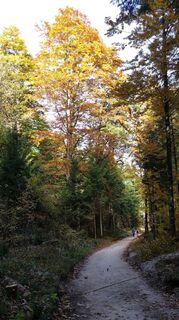 Foto da Gerhard Niebling lungo il tour