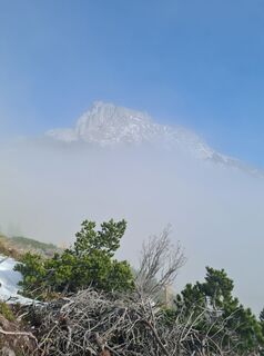 Foto von Tamara Schwarz 2 entlang der Tour