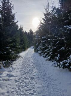 Foto de Raphael Riedler a lo largo del recorrido