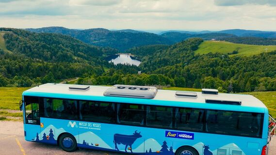 Kamm-Shuttle - Vogesenmassiv