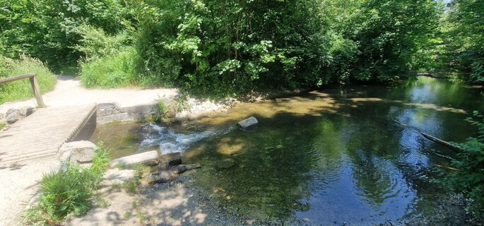 Photo de Richard Renz le long du parcours