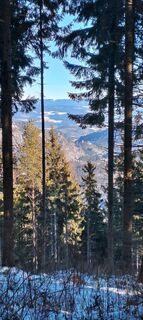 Fotografia z Glanzer Julius na trase