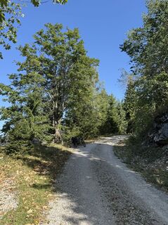 Foto von Isabella Pömmer entlang der Tour