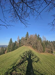 Photo de bikeandcamp le long du parcours