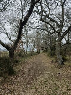 Wanderweg Valdejunquera. Muez