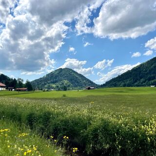 An der Konstanzer Ach entlang zum Hündle