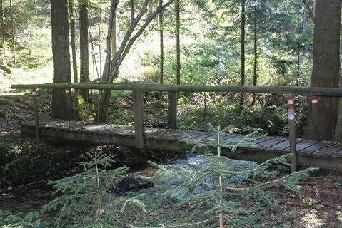 Brücke im Zachgraben