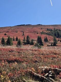Foto von brimo entlang der Tour