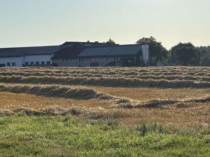 Foto från Franz Daurer under resans gång