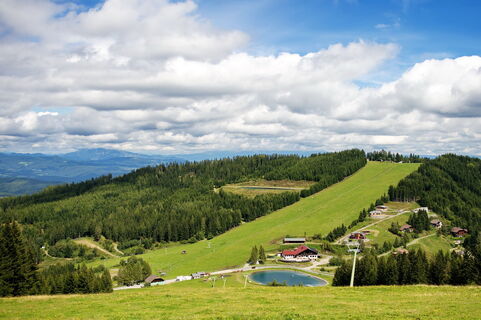 Auf der Simonhöhe
