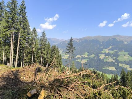 Foto von Tobias Peschanel entlang der Tour
