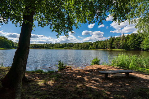 Der Priorteich in Walkenried