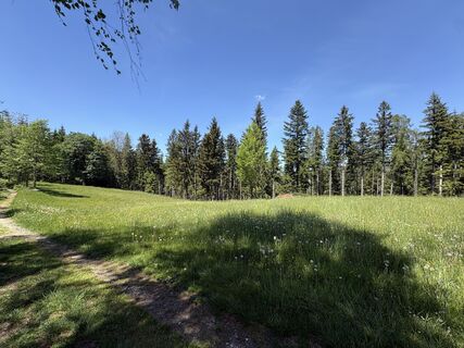 Foto von Dagmar Kutzenberger entlang der Tour