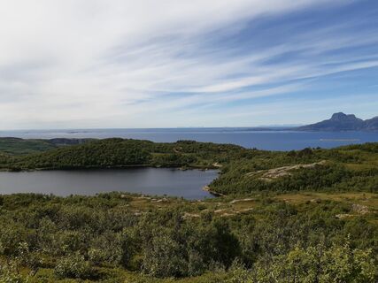 Foto von nordbergschnecke entlang der Tour