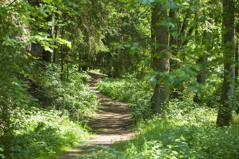 Waldpfad Obere Wagensaß