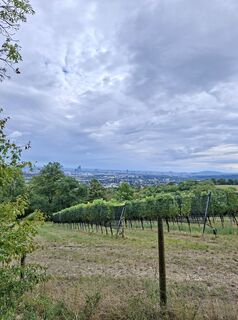 Foto von Garbanzos1979 entlang der Tour