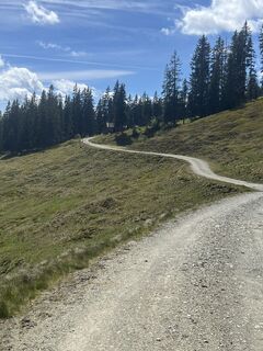 Fotografija s spletne strani Zoran Dujakovic na poti
