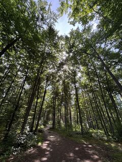 Fotografia z RS76 na trase