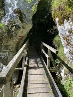 Foto von Ster entlang der Tour