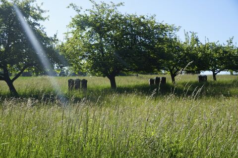 Imkerstand bei Völkersbach