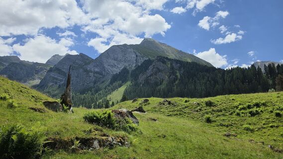 Fotografija s spletne strani Gerrit van der Linde na poti