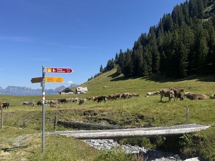 Foto von Lili10 entlang der Tour
