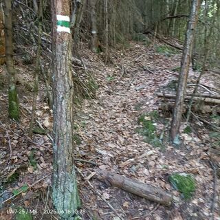 Bergwanderweg, Iliina-Tal