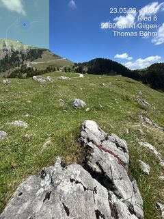 Foto von Thomas Böhm 8 entlang der Tour