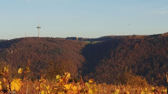Foto von Jürgen Dubbert entlang der Tour