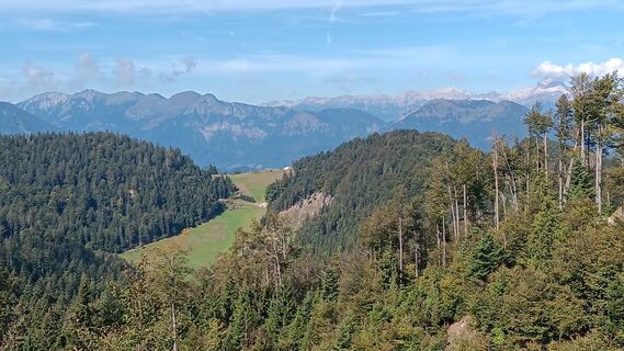 Foto von Burki entlang der Tour