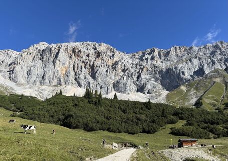 Photo de Thomas Dehn le long du parcours