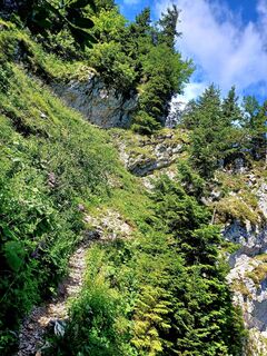 Foto från Hochreiter Anita under resans gång