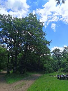 Foto von Julika Jármer entlang der Tour