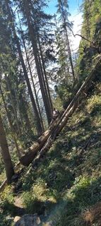 Fotografia z Mario Libardi na trase