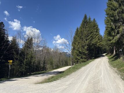 Zdjęcie z Similaun wzdłuż trasy