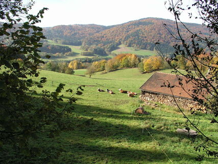 Steinfeldweg 