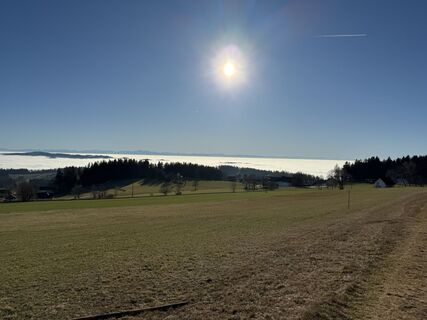 Fotografija s spletne strani Wilson Holz na poti