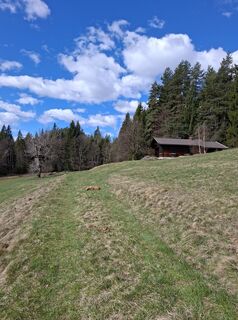 Foto von Peter Orasche entlang der Tour