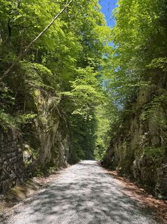 Foto da Denise Miller lungo il tour