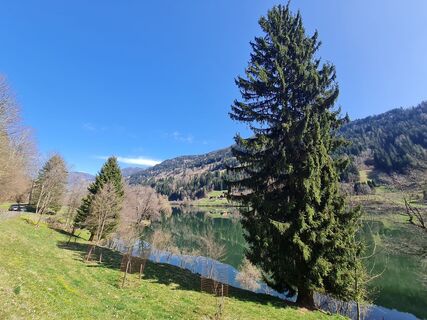 Fotografie z Astrid Tomada na trase