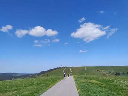 Zdjęcie z Betzenbergfex wzdłuż trasy