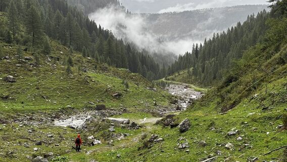 Fotografia z sagal na trase